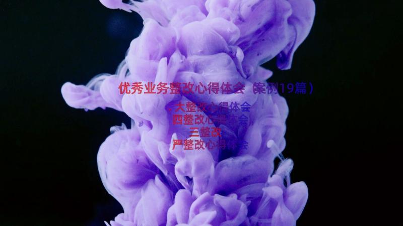 优秀业务整改心得体会（案例19篇）