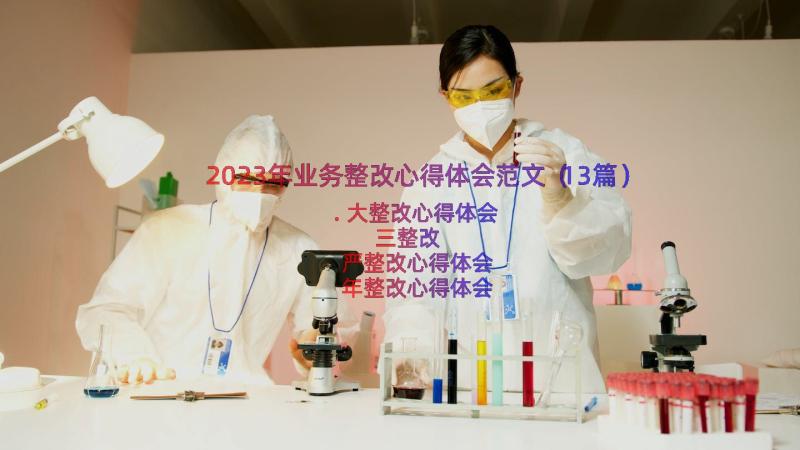 2023年业务整改心得体会范文（13篇）