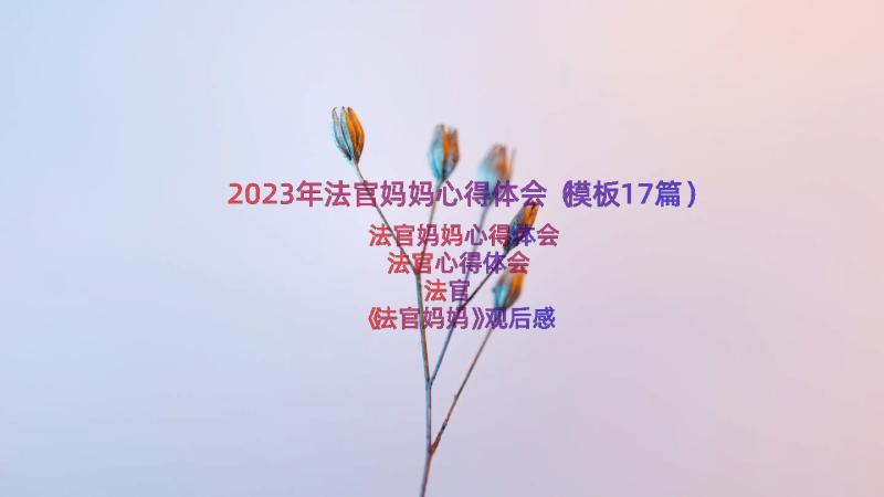 2023年法官妈妈心得体会（模板17篇）