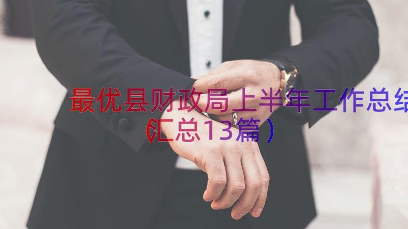 最优县财政局上半年工作总结（汇总13篇）