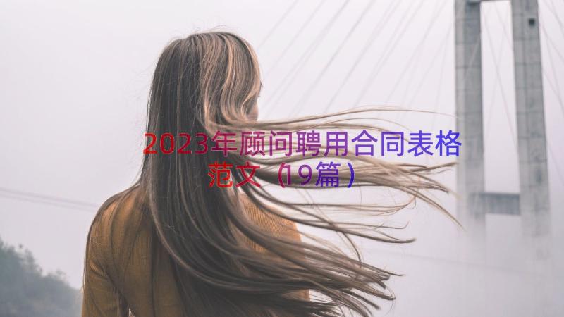 2023年顾问聘用合同表格范文（19篇）