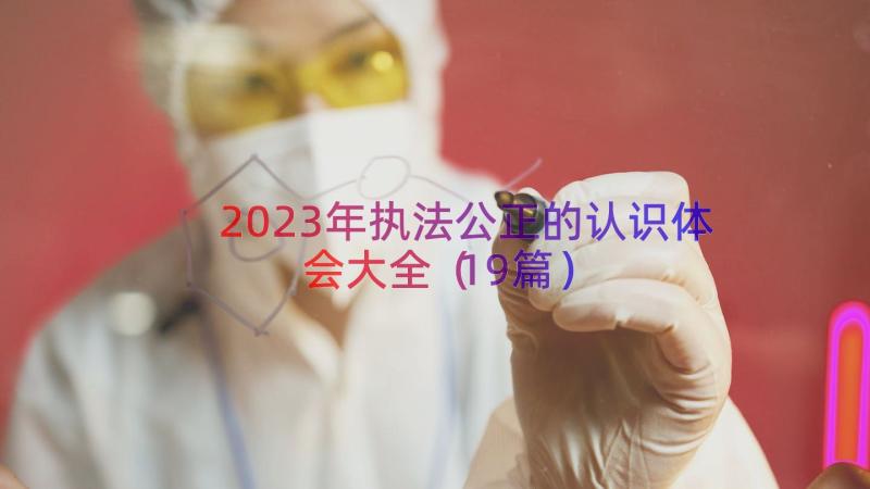 2023年执法公正的认识体会大全（19篇）