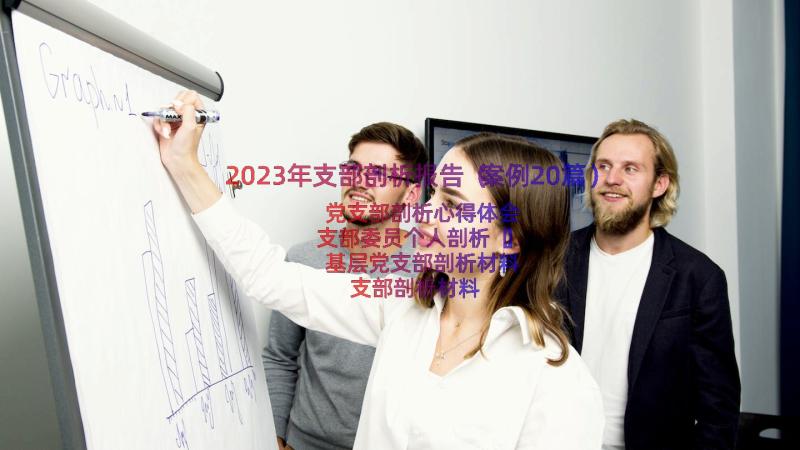 2023年支部剖析报告（案例20篇）