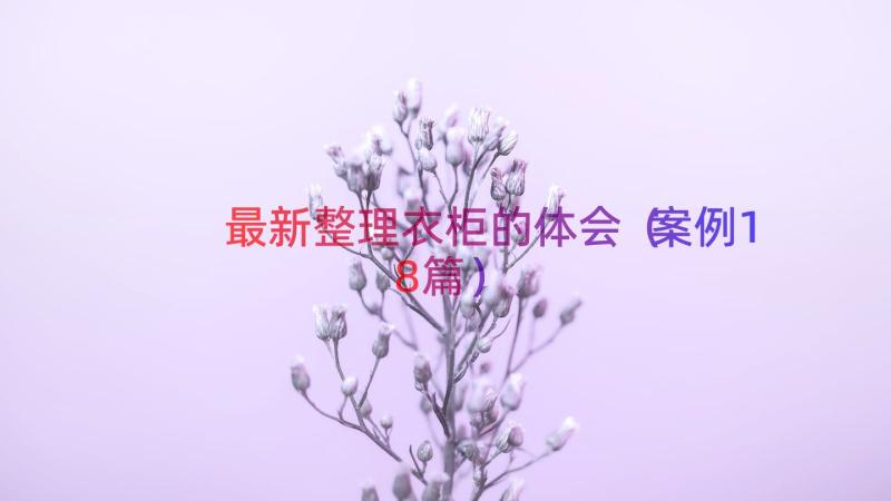 最新整理衣柜的体会（案例18篇）