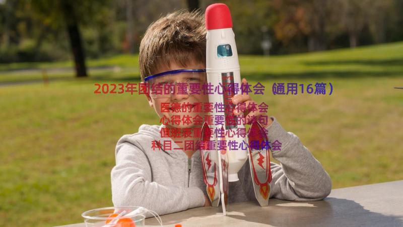 2023年团结的重要性心得体会（通用16篇）