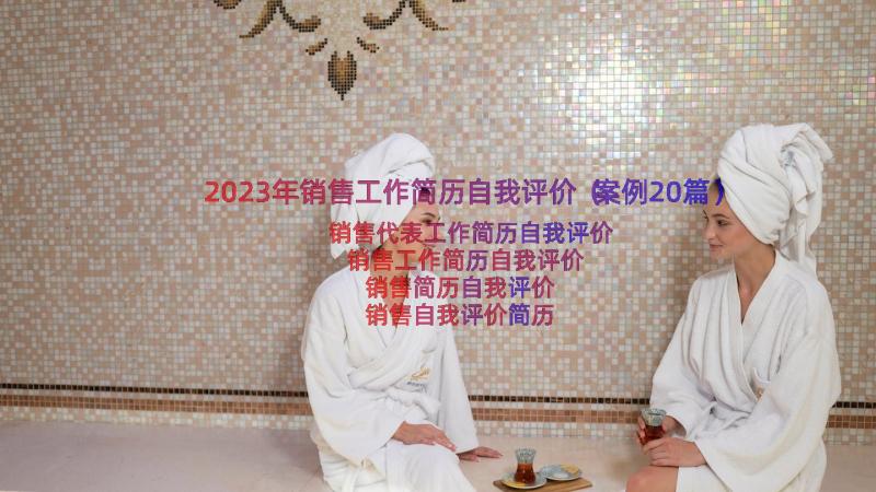 2023年销售工作简历自我评价（案例20篇）