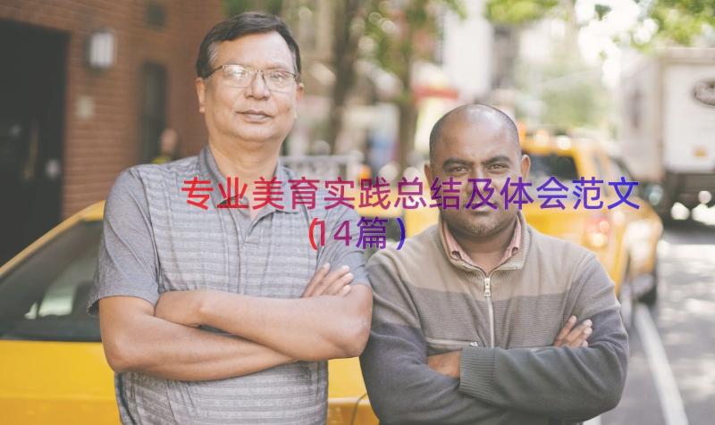 专业美育实践总结及体会范文（14篇）