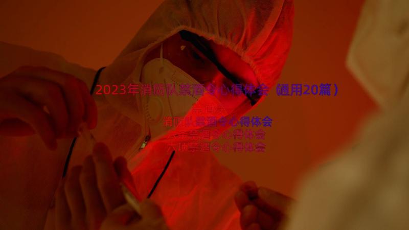 2023年消防队禁酒令心得体会（通用20篇）