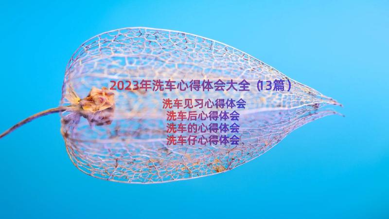 2023年洗车心得体会大全（13篇）