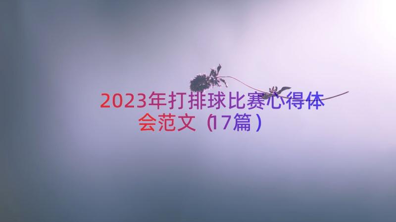 2023年打排球比赛心得体会范文（17篇）