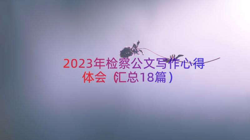 2023年检察公文写作心得体会（汇总18篇）