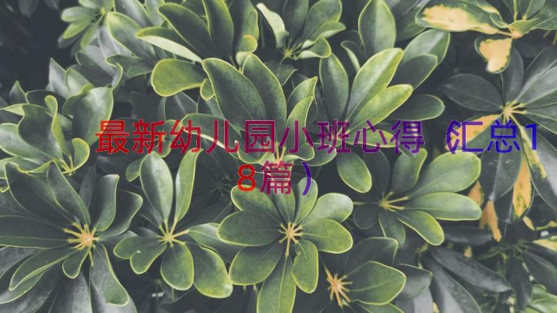 最新幼儿园小班心得（汇总18篇）