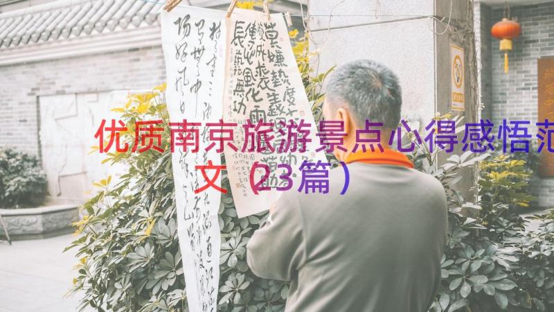 优质南京旅游景点心得感悟范文（23篇）