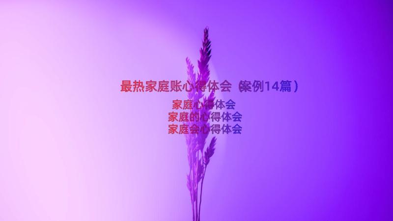 最热家庭账心得体会（案例14篇）