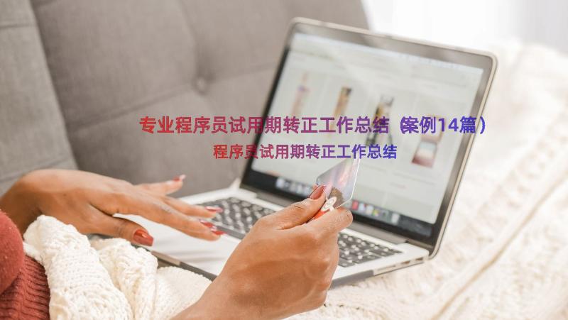 专业程序员试用期转正工作总结（案例14篇）