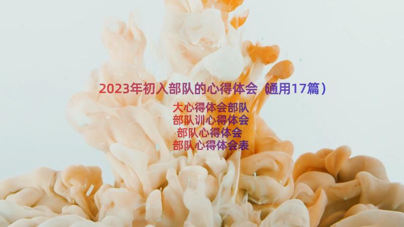 2023年初入部队的心得体会（通用17篇）