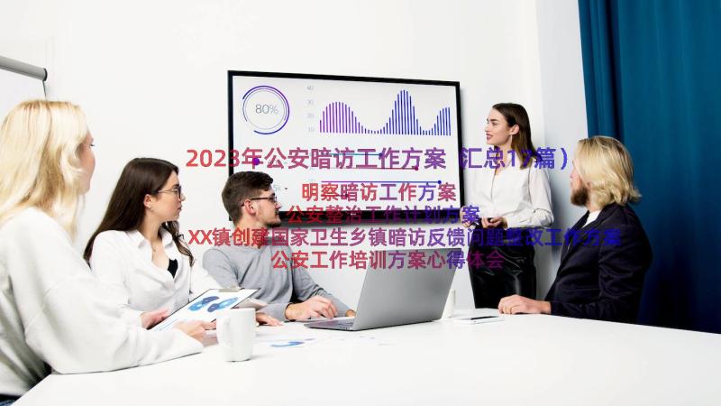 2023年公安暗访工作方案（汇总17篇）