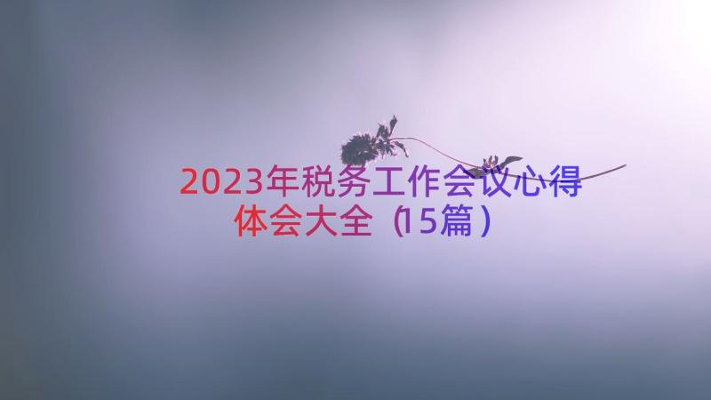 2023年税务工作会议心得体会大全（15篇）