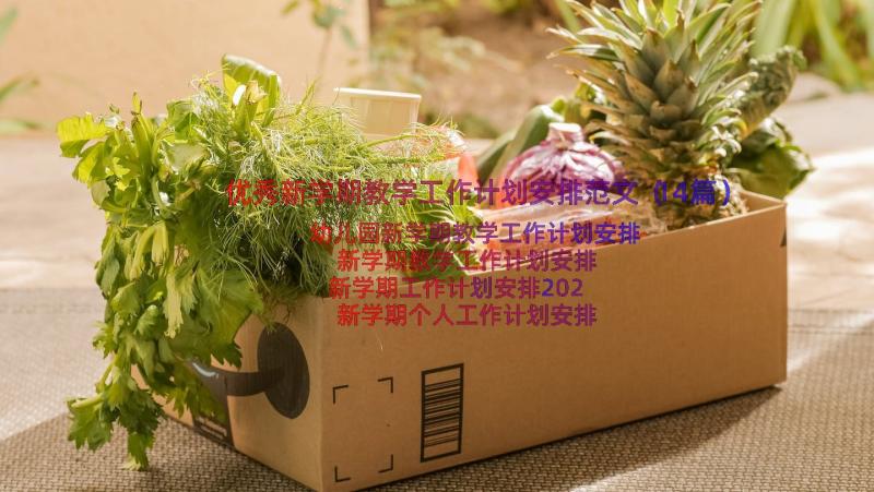 优秀新学期教学工作计划安排范文（14篇）