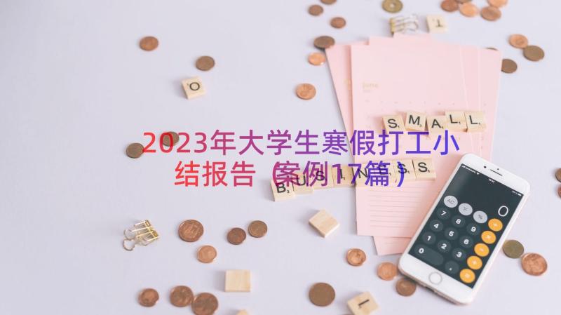 2023年大学生寒假打工小结报告（案例17篇）