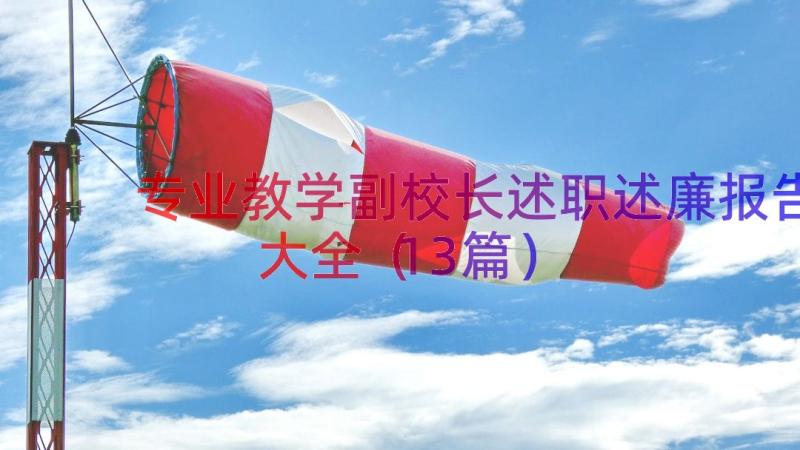 专业教学副校长述职述廉报告大全（13篇）