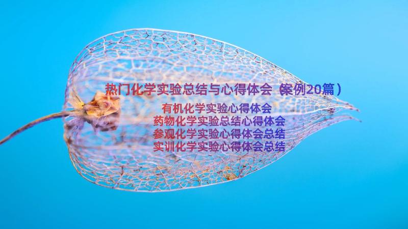 热门化学实验总结与心得体会（案例20篇）