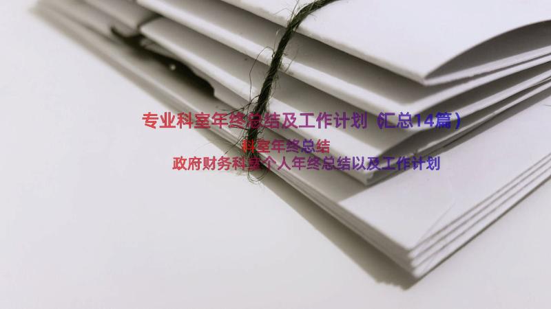 专业科室年终总结及工作计划（汇总14篇）