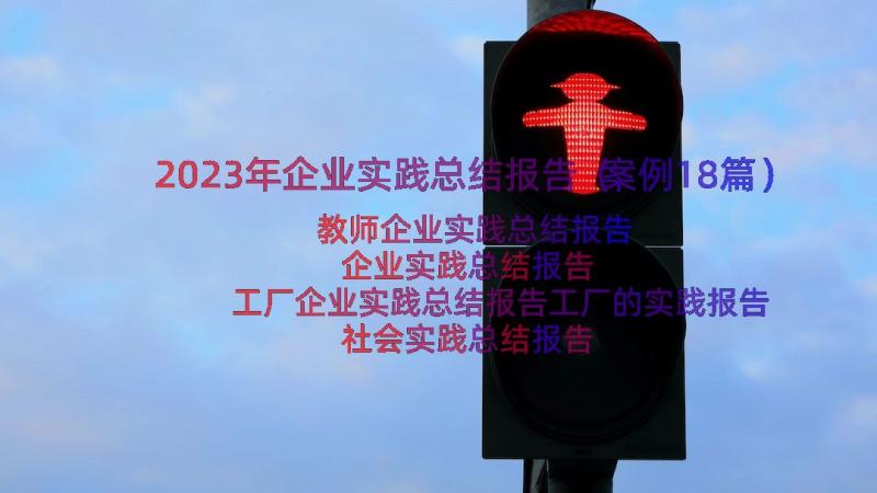 2023年企业实践总结报告（案例18篇）