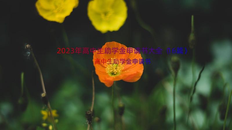 2023年高中生助学金申请书大全（16篇）