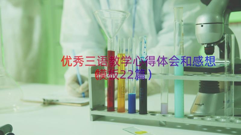 优秀三语教学心得体会和感想（模板22篇）