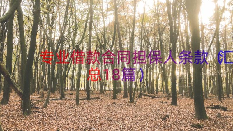 专业借款合同担保人条款（汇总18篇）