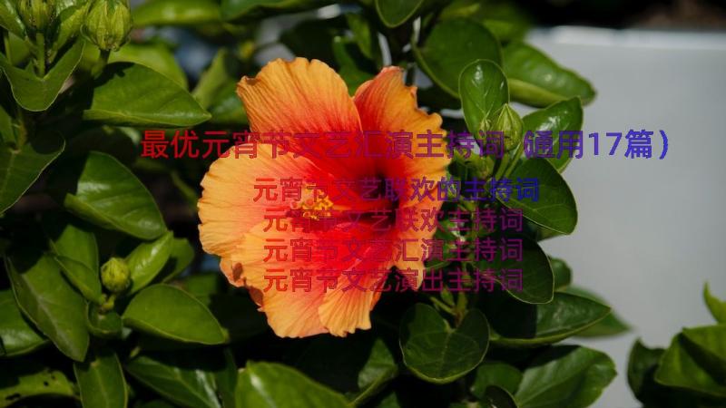 最优元宵节文艺汇演主持词（通用17篇）