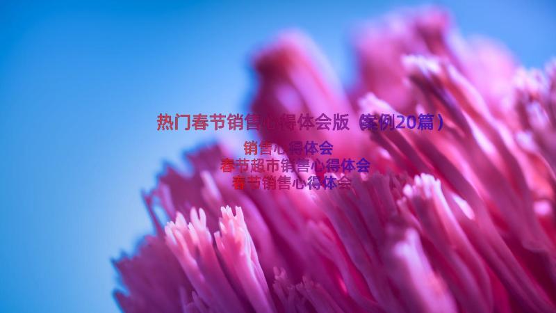 热门春节销售心得体会版（案例20篇）