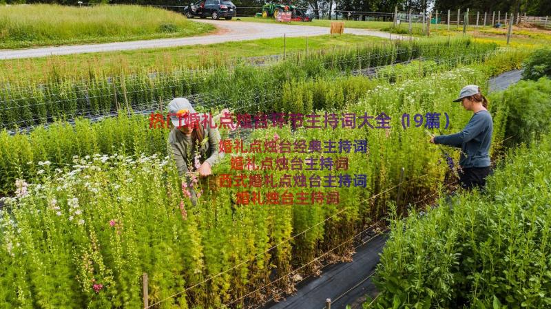 热门婚礼点烛台环节主持词大全（19篇）