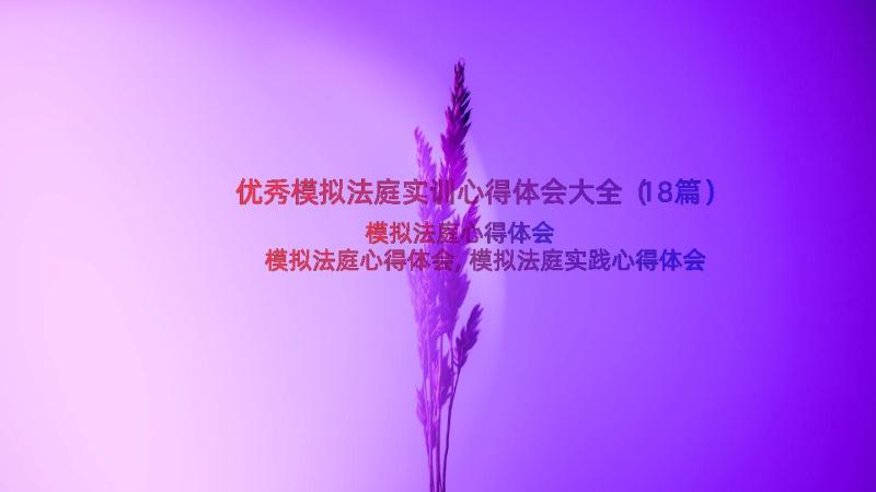 优秀模拟法庭实训心得体会大全（18篇）