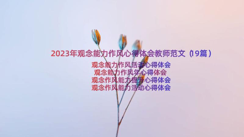 2023年观念能力作风心得体会教师范文（19篇）