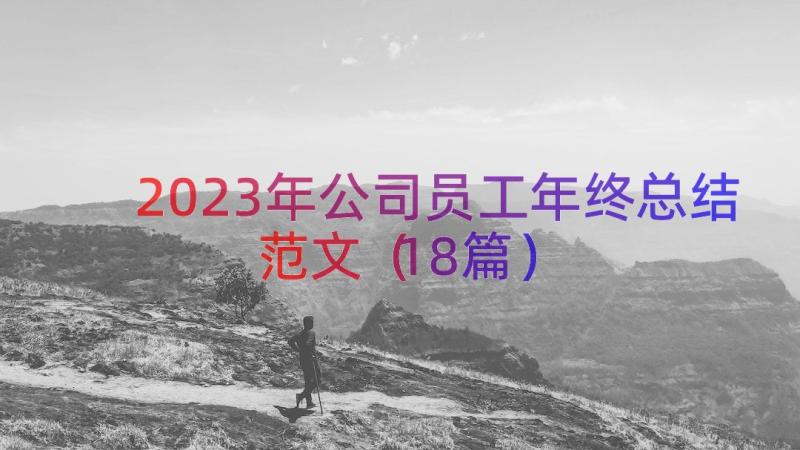 2023年公司员工年终总结范文（18篇）