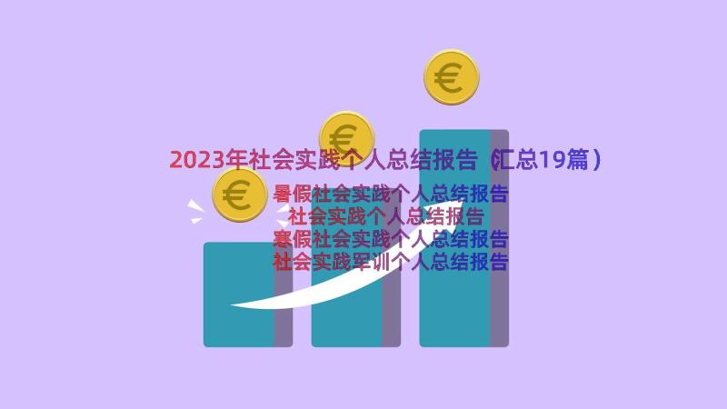 2023年社会实践个人总结报告（汇总19篇）