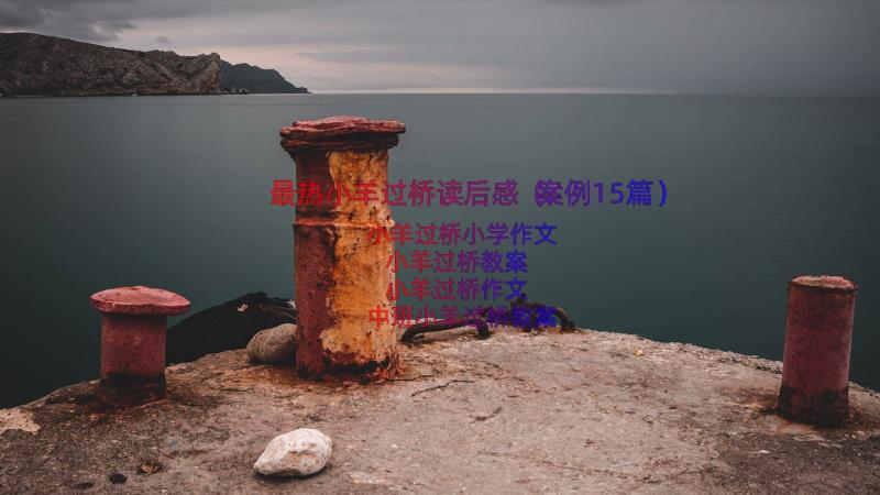 最热小羊过桥读后感（案例15篇）