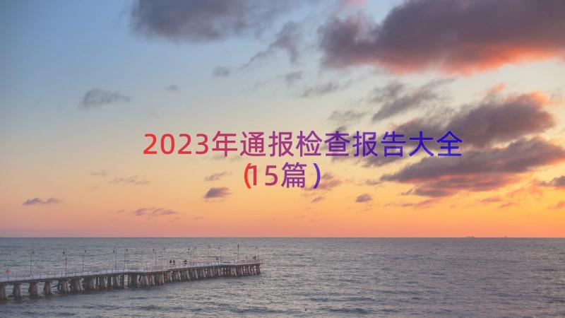 2023年通报检查报告大全（15篇）