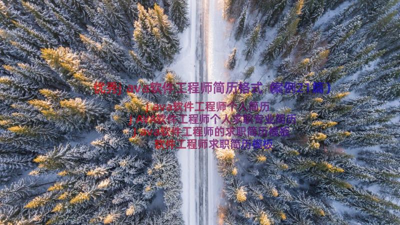 优秀java软件工程师简历格式（案例21篇）