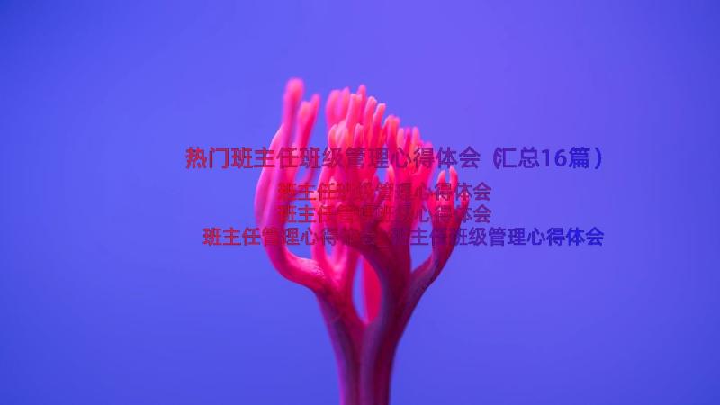 热门班主任班级管理心得体会（汇总16篇）