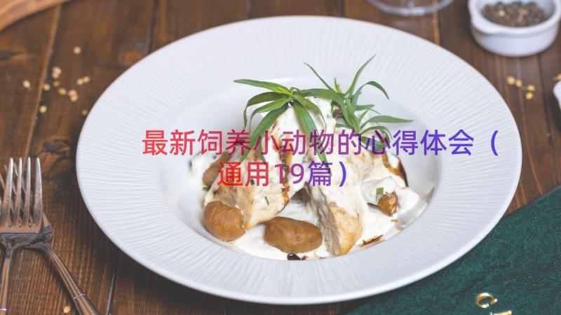 最新饲养小动物的心得体会（通用19篇）