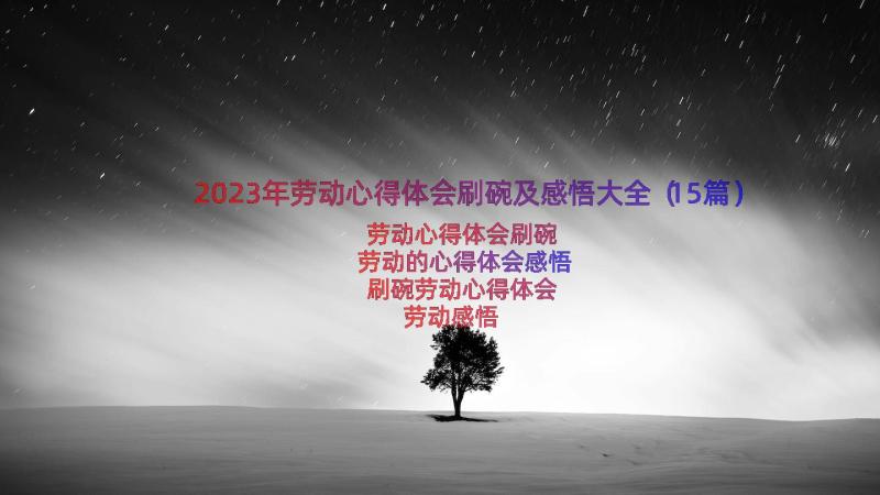 2023年劳动心得体会刷碗及感悟大全（15篇）