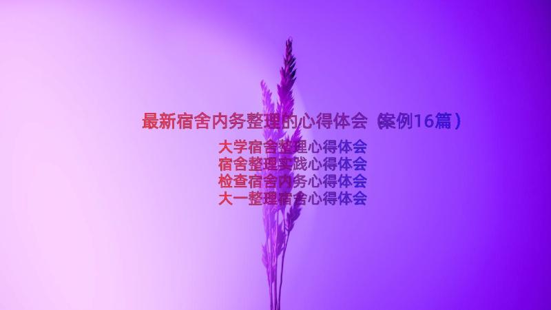 最新宿舍内务整理的心得体会（案例16篇）