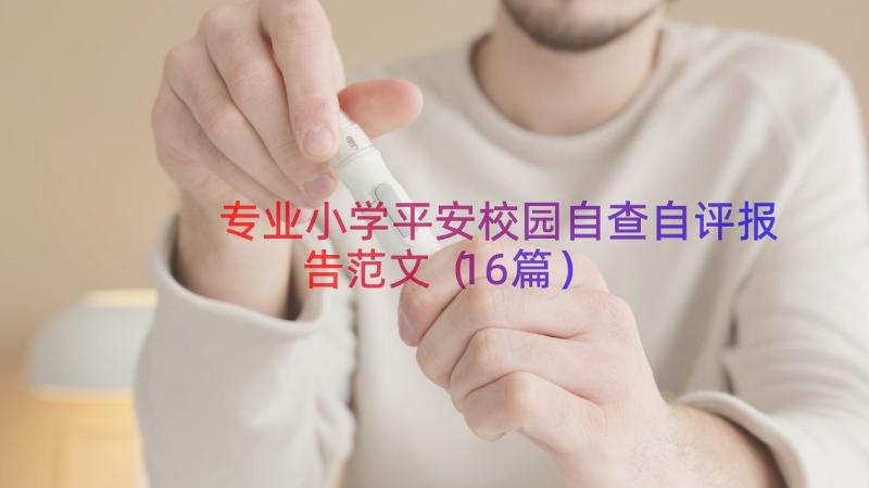 专业小学平安校园自查自评报告范文（16篇）