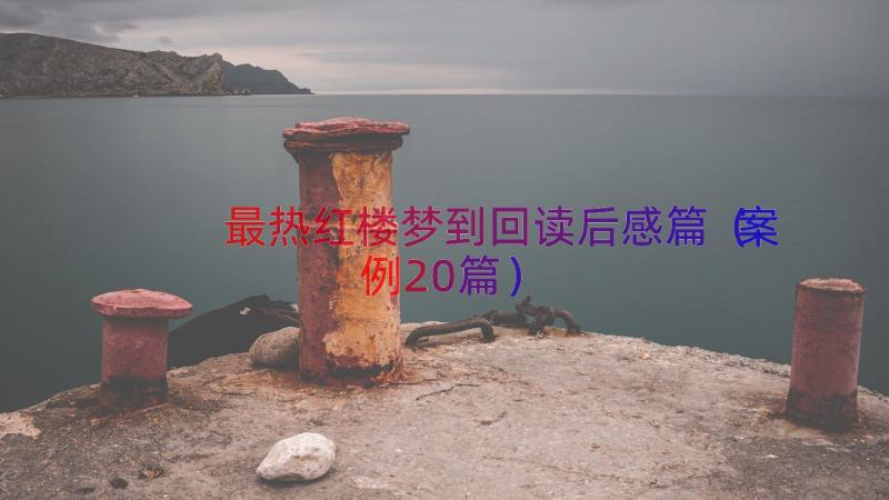 最热红楼梦到回读后感篇（案例20篇）