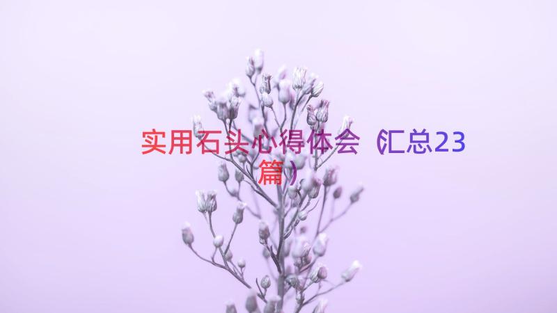 实用石头心得体会（汇总23篇）