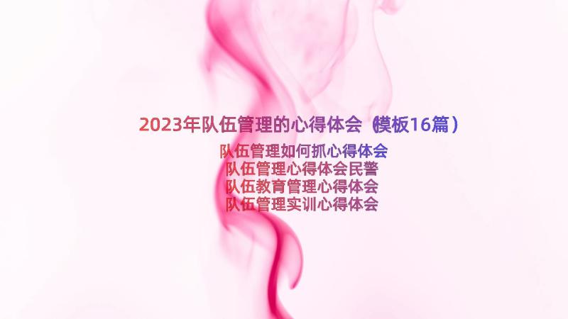 2023年队伍管理的心得体会（模板16篇）