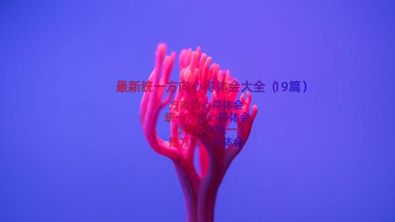 最新统一方向心得体会大全（19篇）